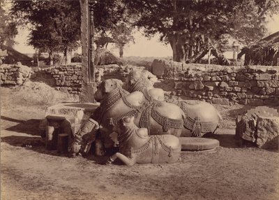 Toros o nadias con tallas ornamentales Vista lateral, Warangal, Hyderabad, Decán de Lala Deen Dayal