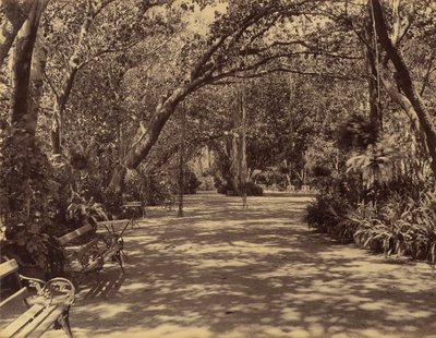 Jardín del Palacio Sookh-Vilas, 1880-90 de Lala Deen Dayal