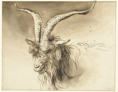 Cabeza de una cabra Landrace holandesa de Lambert Doomer