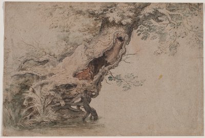 Árbol Hueco, después de Roelant Savery de Lambert Doomer