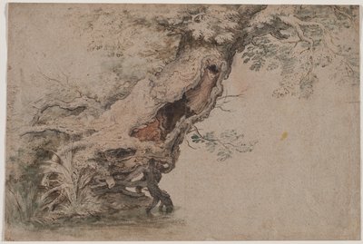 Árbol hueco, después de Roelant Savery, después de 1670 de Lambert Doomer