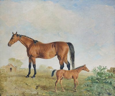 Caballos 