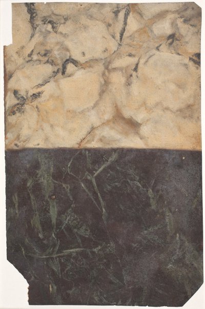 Boceto de dos tipos diferentes de marmoleado, uno negro-azul y otro dorado-blanco de Lambert van Haven