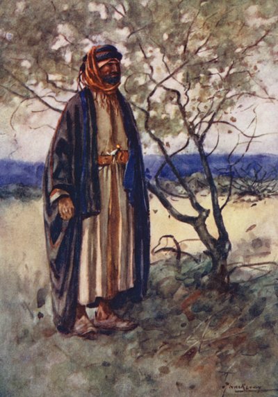 Pueblo de Egipto: Árabe beduino, Bedawi (litografía en color) de Lance Thackeray