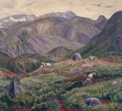 Desde Leirungsdalen de Lars Jorde