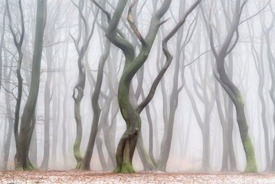  de Lars van de Goor †