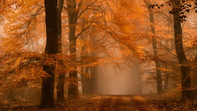  de Lars van de Goor †