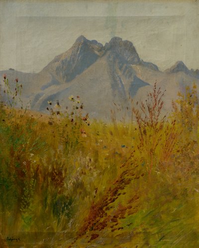Pico Lomnický de Laszlo Mednyanszky