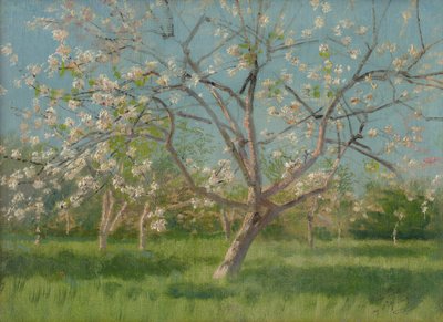 Árboles frutales en flor, 1900-10 de Laszlo Mednyanszky