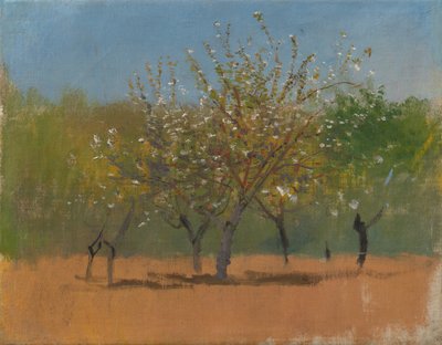 Árboles en flor, c.1880-90 de Laszlo Mednyanszky