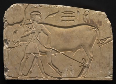 Hombres atando un buey, 667-647 a.C. de Late Period Egyptian