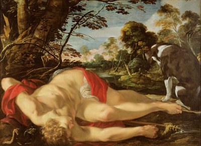 Adonis Muerto, c.1624-28 de Laurent de la Hyre