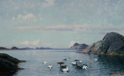 Costa sur con aves marinas de Lauritz Haaland