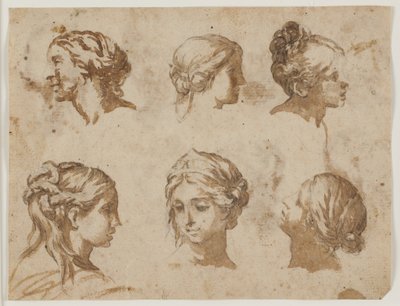 Seis estudios de cabezas femeninas de Lazzaro Baldi