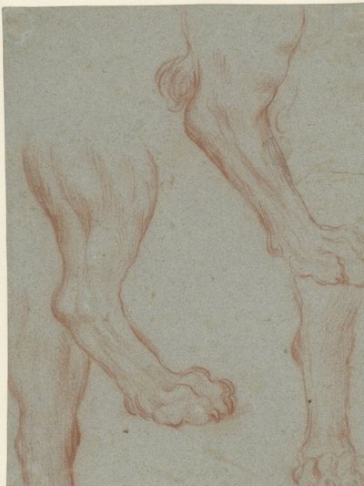 Hoja de estudio con dos patas de león de Leandro Bassano