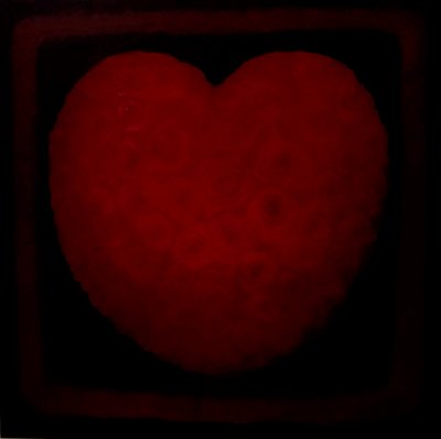 Gran Amor, 2021 de Lee Campbell