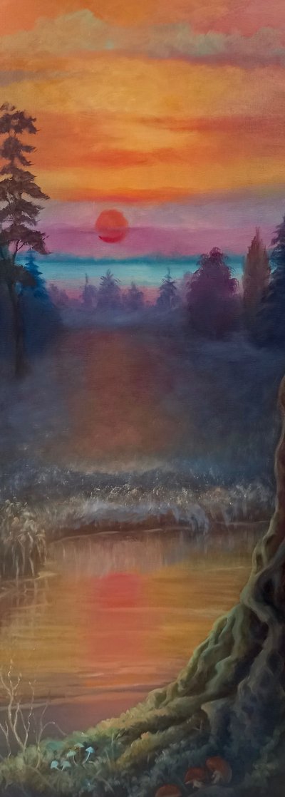 Luz del norte de Lee Campbell
