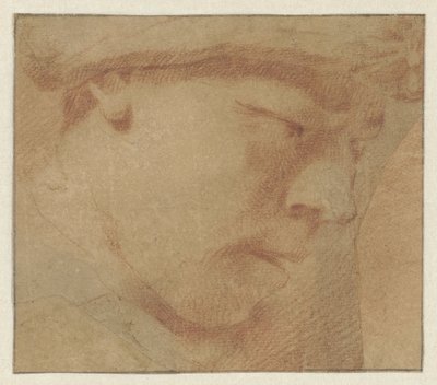 Cabeza de un niño, a la derecha de Leendert van der Cooghen (manner of)