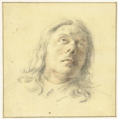 Cabeza de hombre, mirando hacia arriba de Leendert van der Cooghen