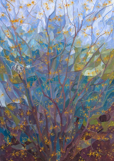 Avellano de bruja en flor, 2015 de Leigh Glover