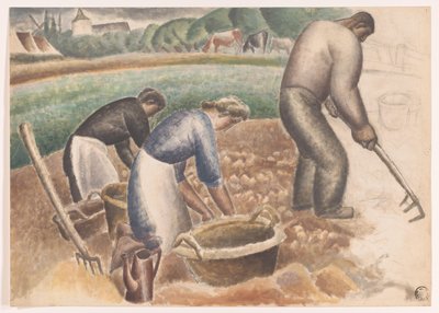 Cosechadoras de patatas en el campo de Leo Gestel