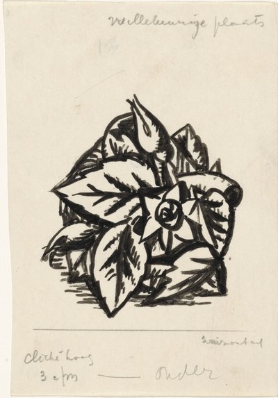 Flores de Leo Gestel