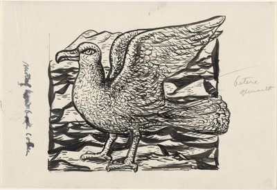 Gaviota de Leo Gestel