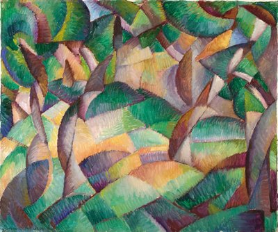Olivar, Mallorca de Leo Gestel