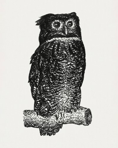 Búho de Leo Gestel
