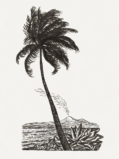 Palmera con una isla (h. 1891-1941) de Leo Gestel