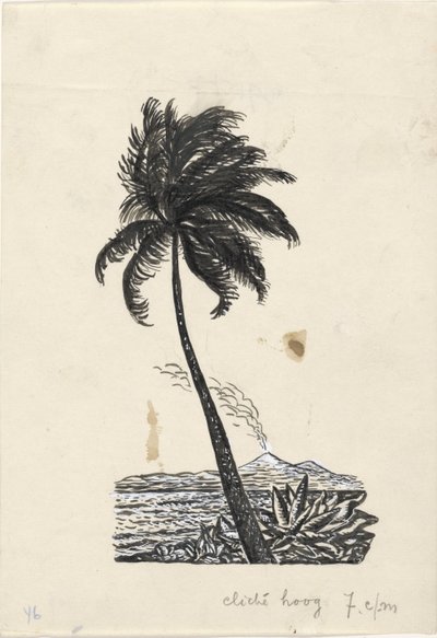 Palmera con una isla con un volcán de fondo de Leo Gestel