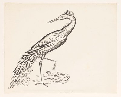 Garza al borde del agua con dos peces junto a sus patas de Leo Gestel