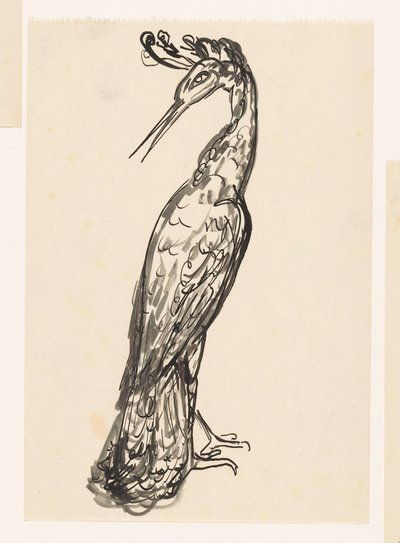 Garza con la cabeza girada hacia atrás de Leo Gestel