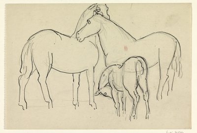 Dos caballos y un potro de Leo Gestel