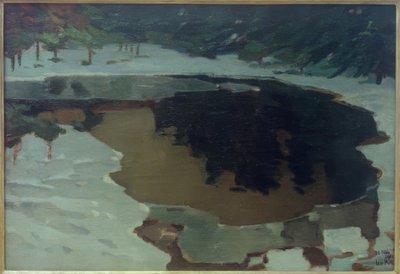 Lago de turba en invierno de Leo Putz