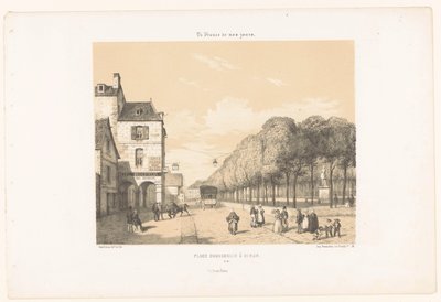 Vista de la plaza Du Guesclin en Dinan
Place Duguesclin à Dinan (título en el objeto)
Francia contemporánea (título de la serie)
La France de nos jours (título de la serie en el objeto) de Leon Auguste Asselineau