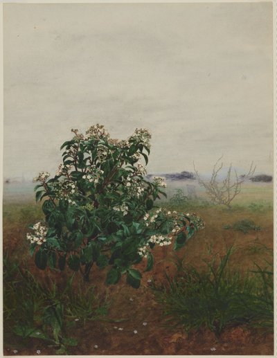  de Léon Bonvin
