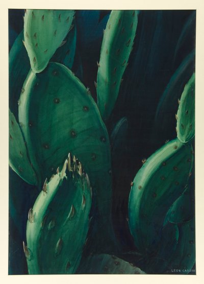 esmeraldas (cactus) de Leon Carroll