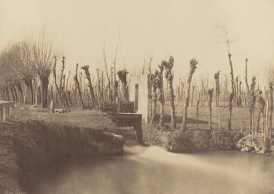 Paisaje, Montebello,c. 1860 (foto) de Léon Gérard