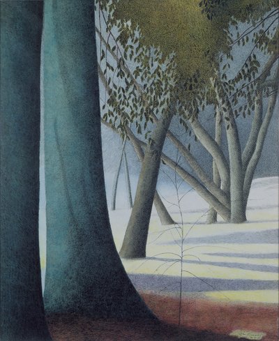 Troncos de haya de Leon Spilliaert