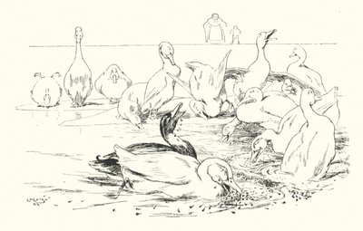 Dama, ¿qué hace que tus patos mueran? de Leonard Leslie Brooke