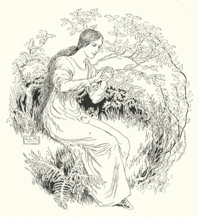 Fui al bosque y lo conseguí de Leonard Leslie Brooke
