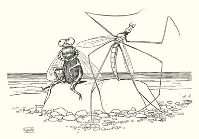 El papá patas largas y la mosca (litografía) de Leonard Leslie Brooke