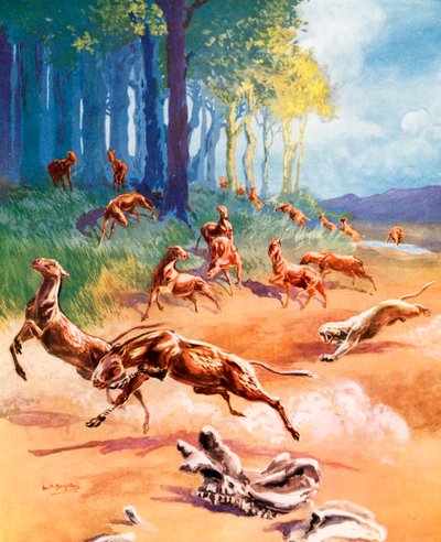  de Leonard Robert Brightwell