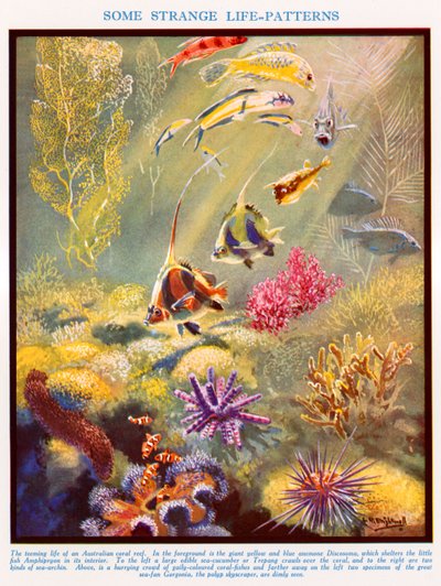  de Leonard Robert Brightwell