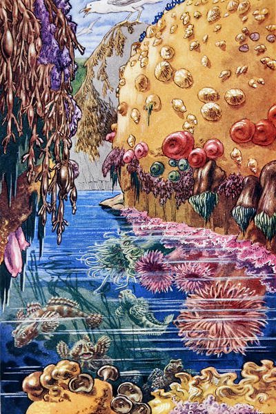 Ilustración de 