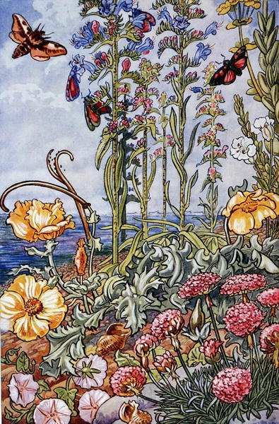Ilustración de 