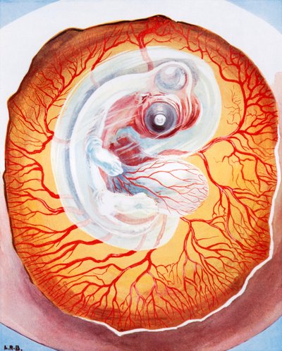  de Leonard Robert Brightwell