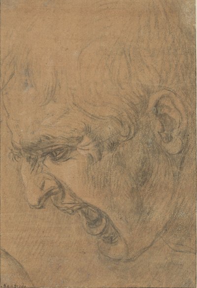 Cabeza de un hombre gritando de Leonardo da (follower of) Vinci