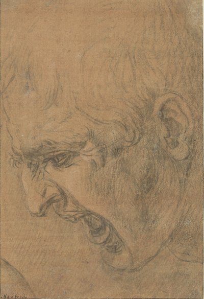 Cabeza de un hombre que grita de Leonardo da Vinci (follower of)